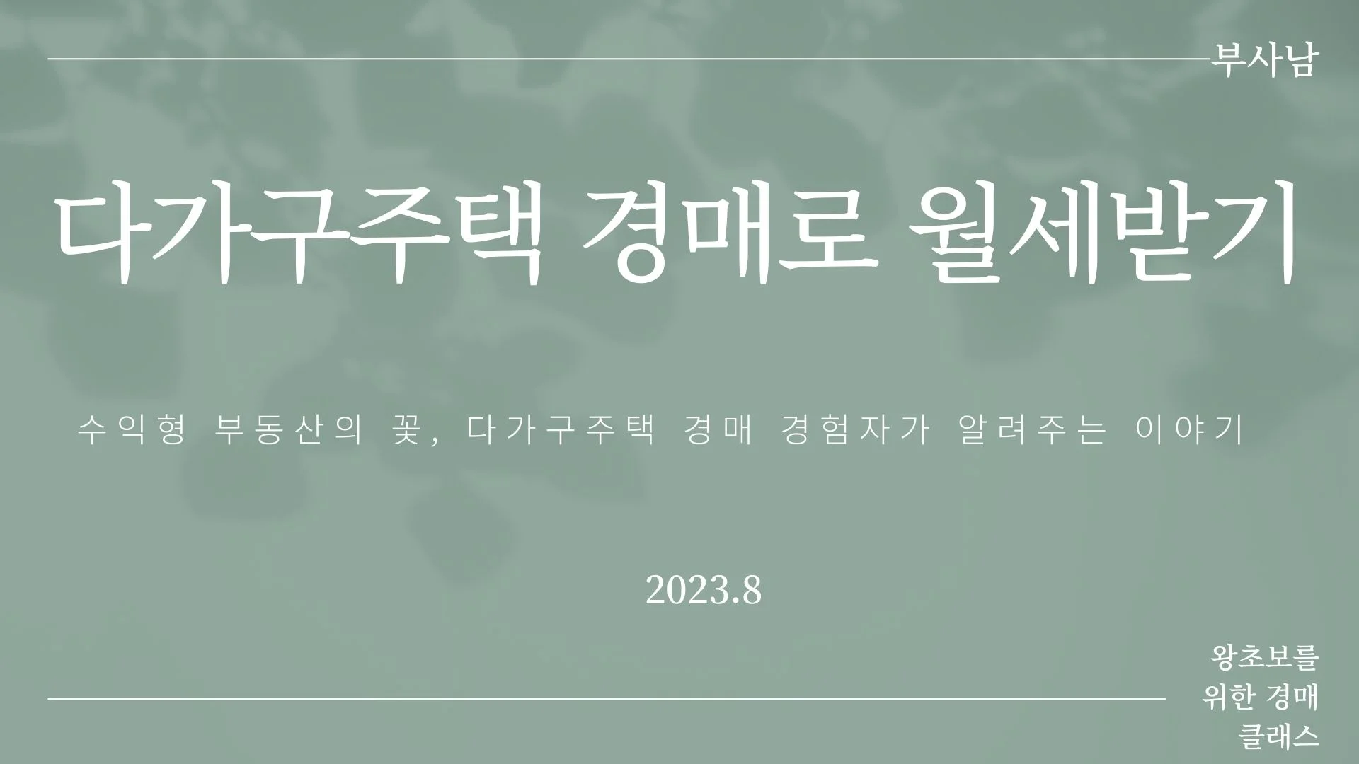 포트폴리오 이미지