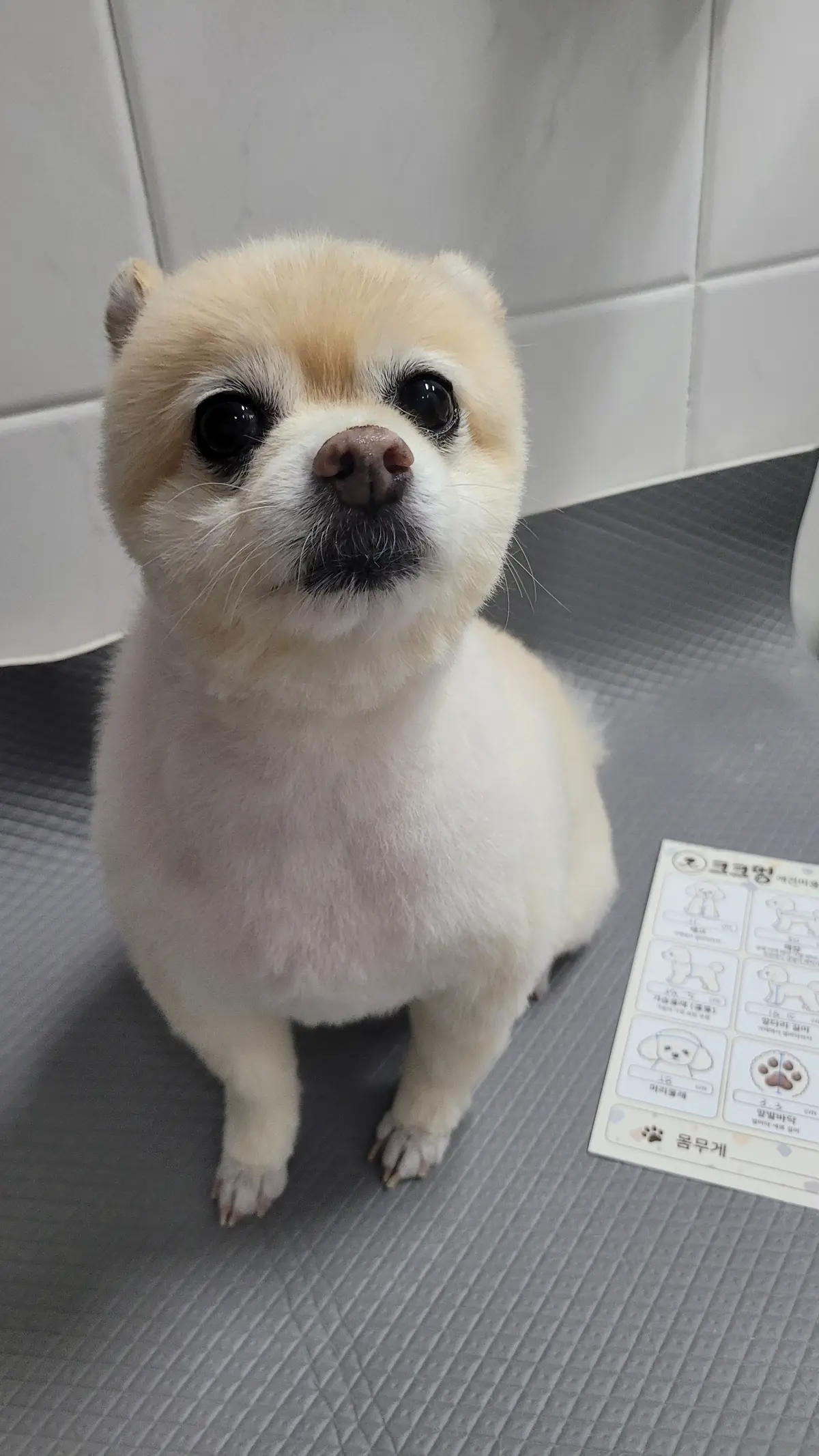 이미지 28
