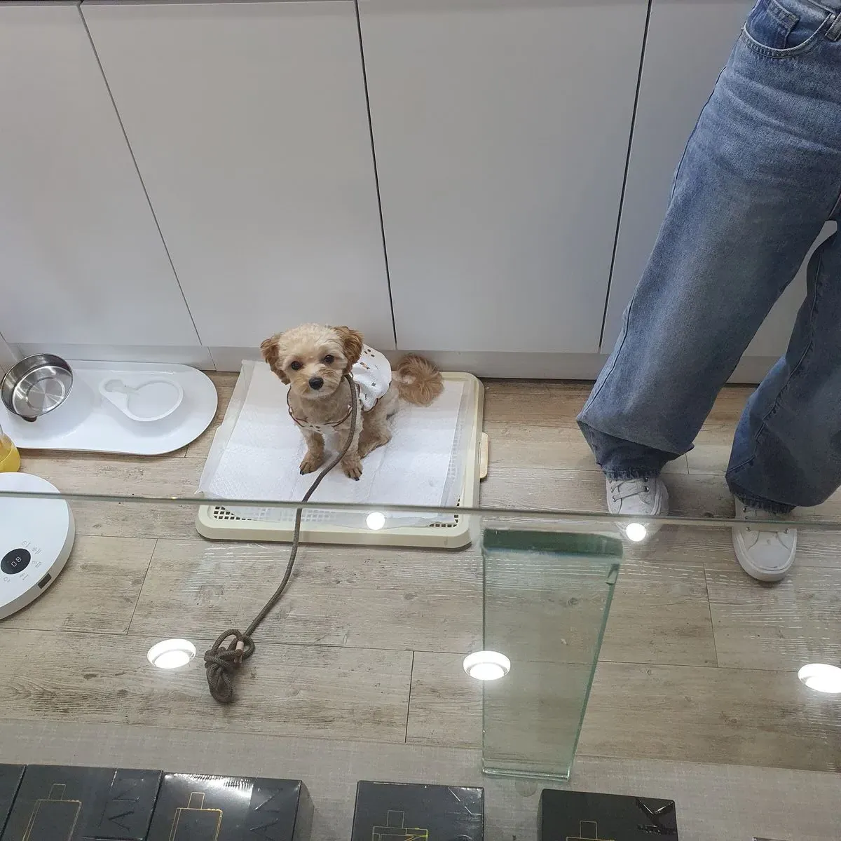이미지 9