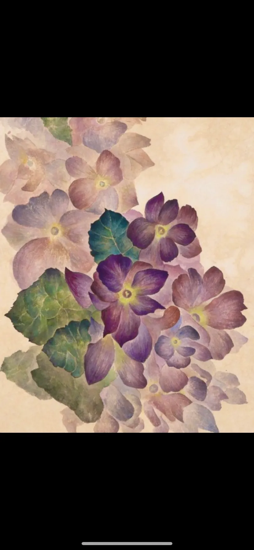 이미지 10