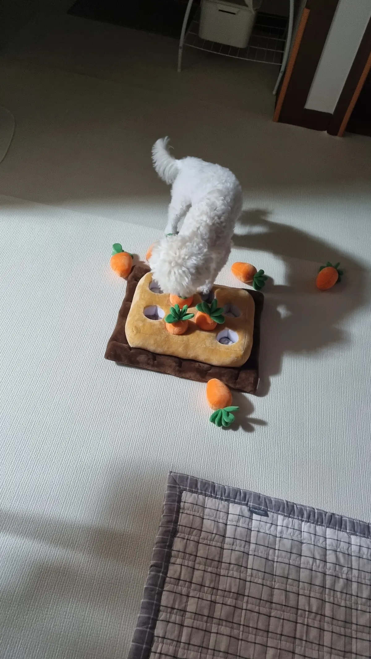 이미지 5