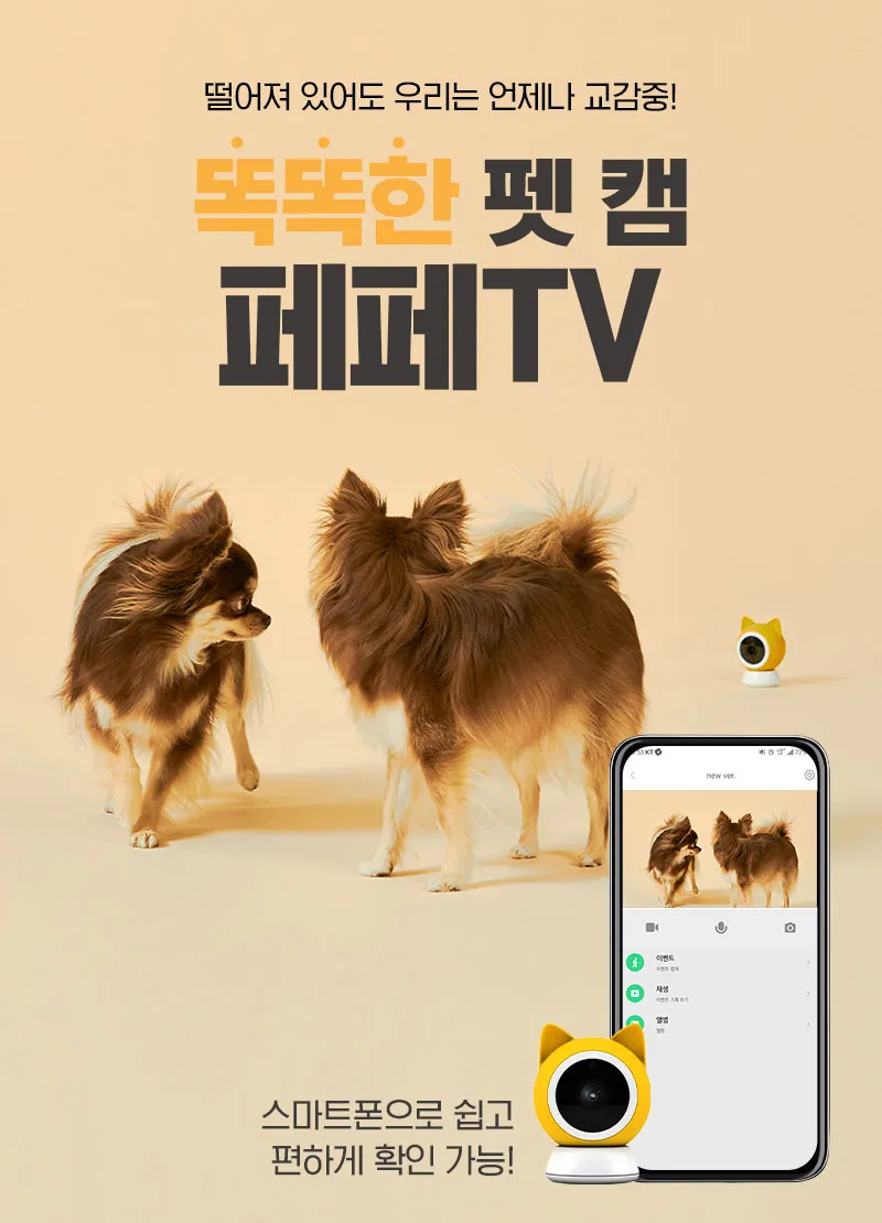 이미지 3