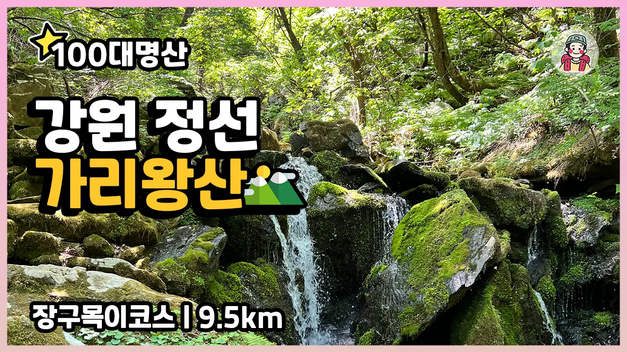 이미지 3