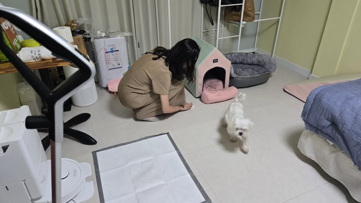 이미지 10