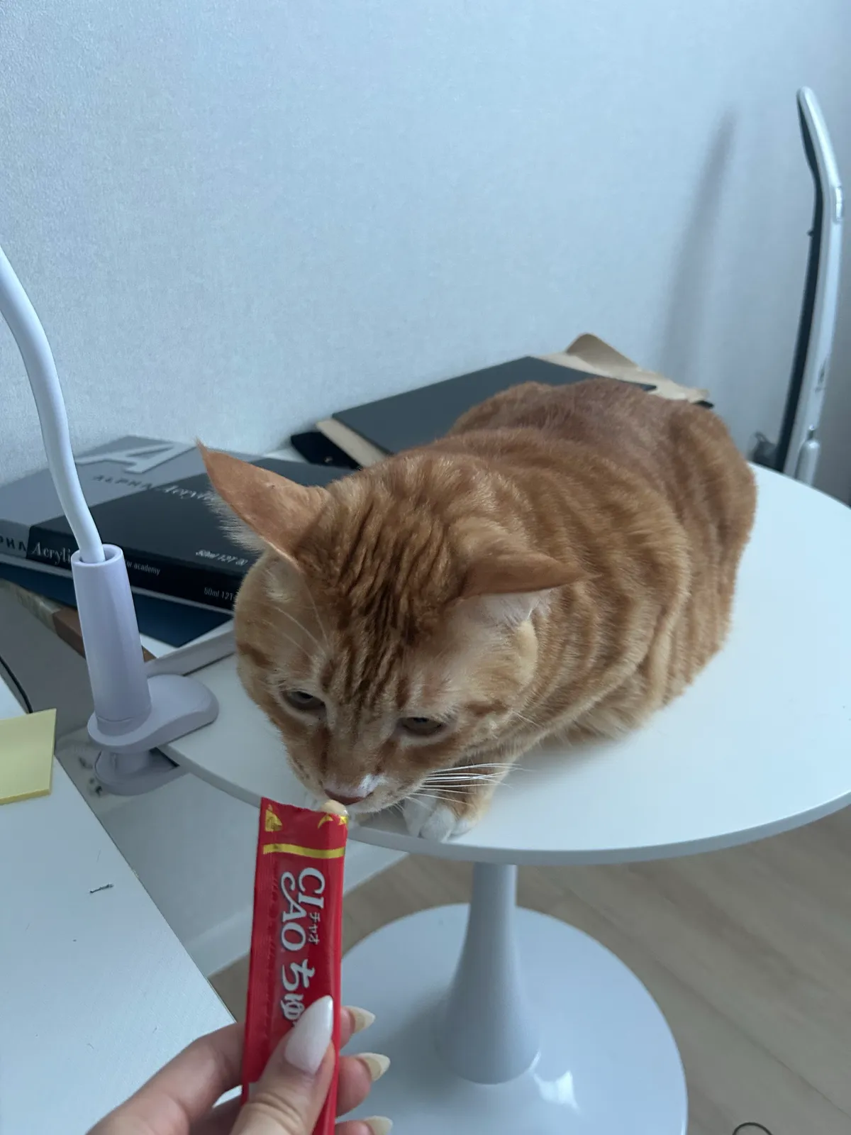 이미지 7