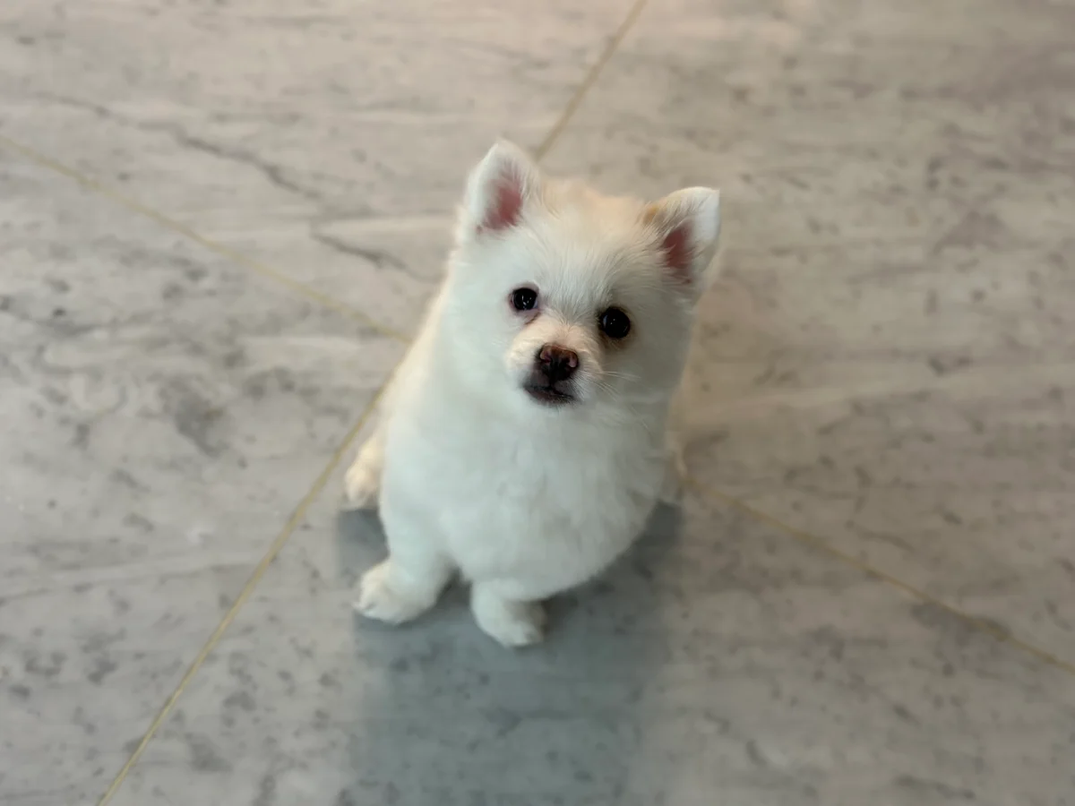 이미지 3