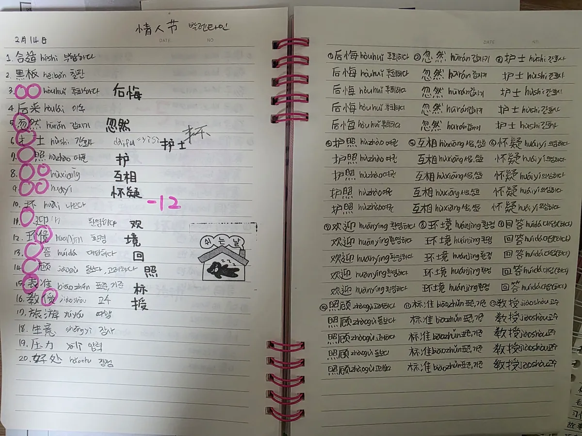 이미지 11