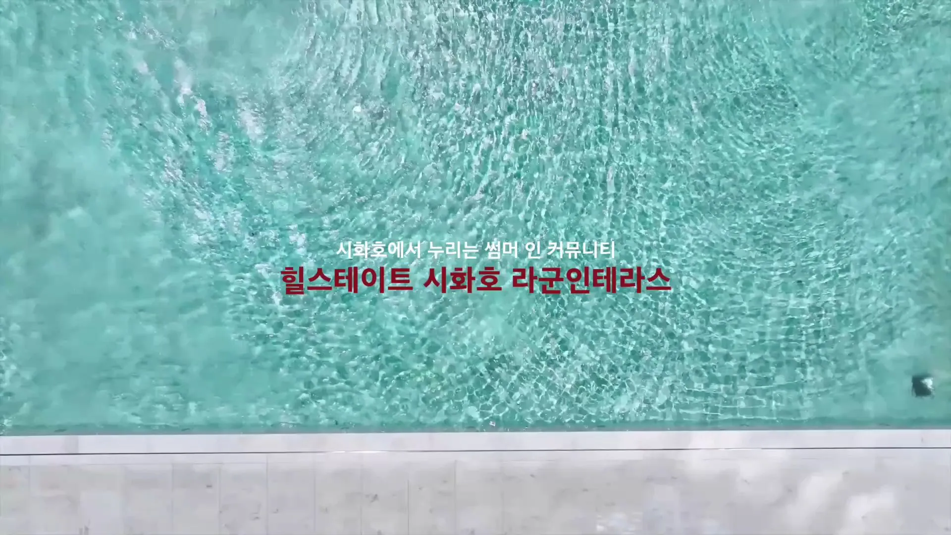 이미지 11