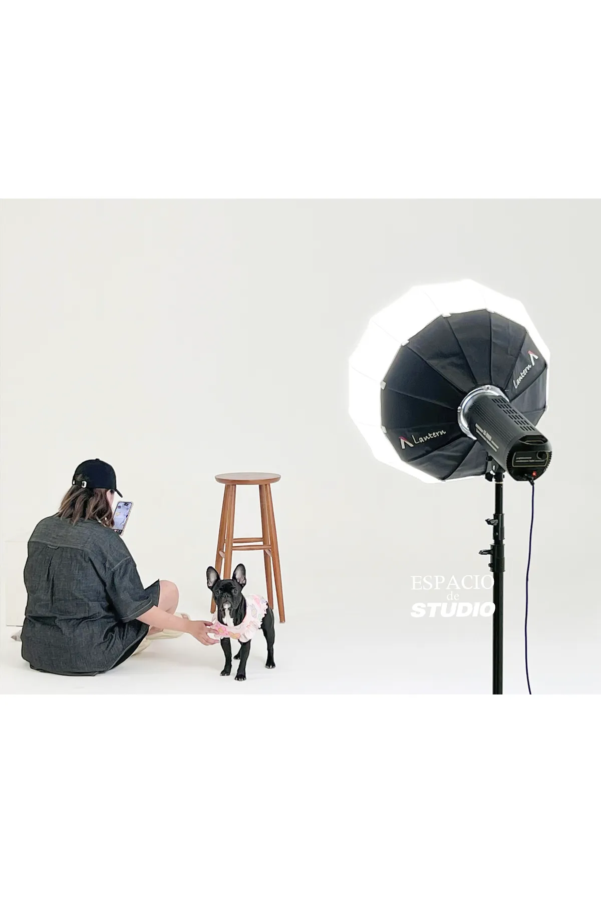 이미지 12