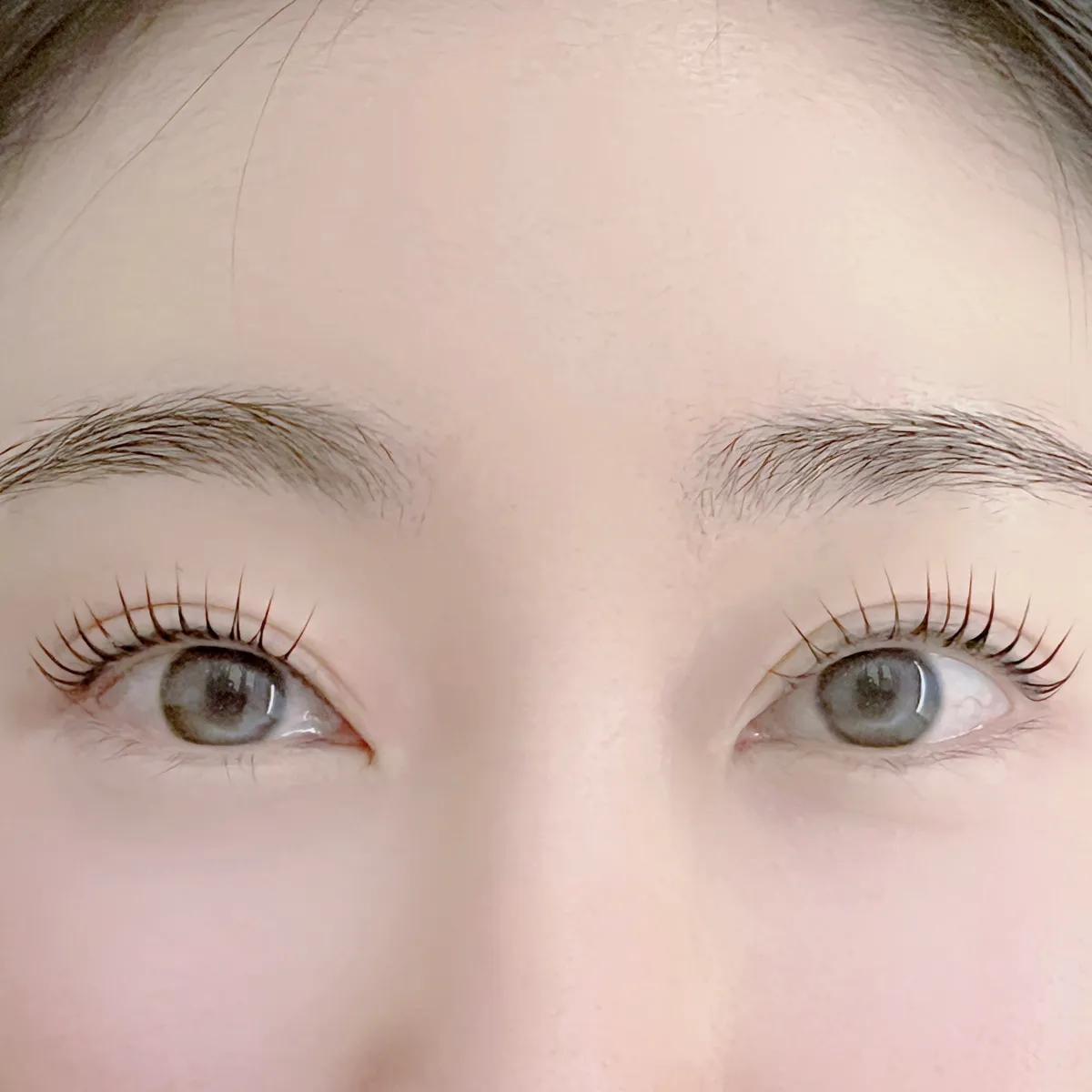 이미지 3