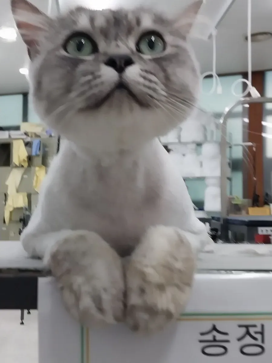 이미지 3