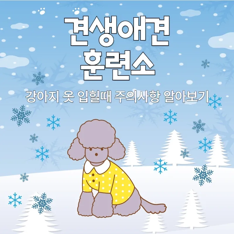 이미지 3