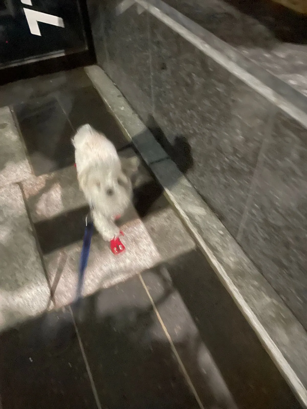이미지 7