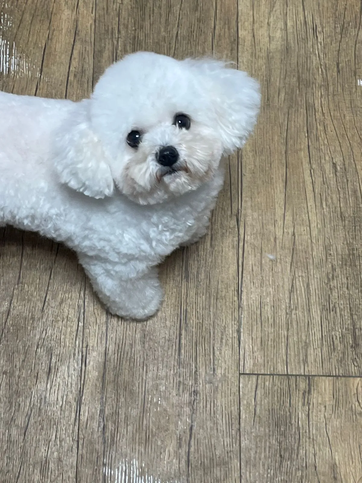 이미지 3