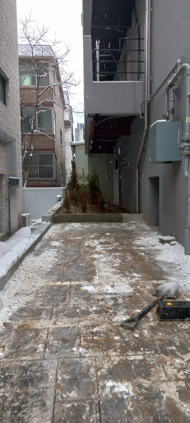 이미지 5