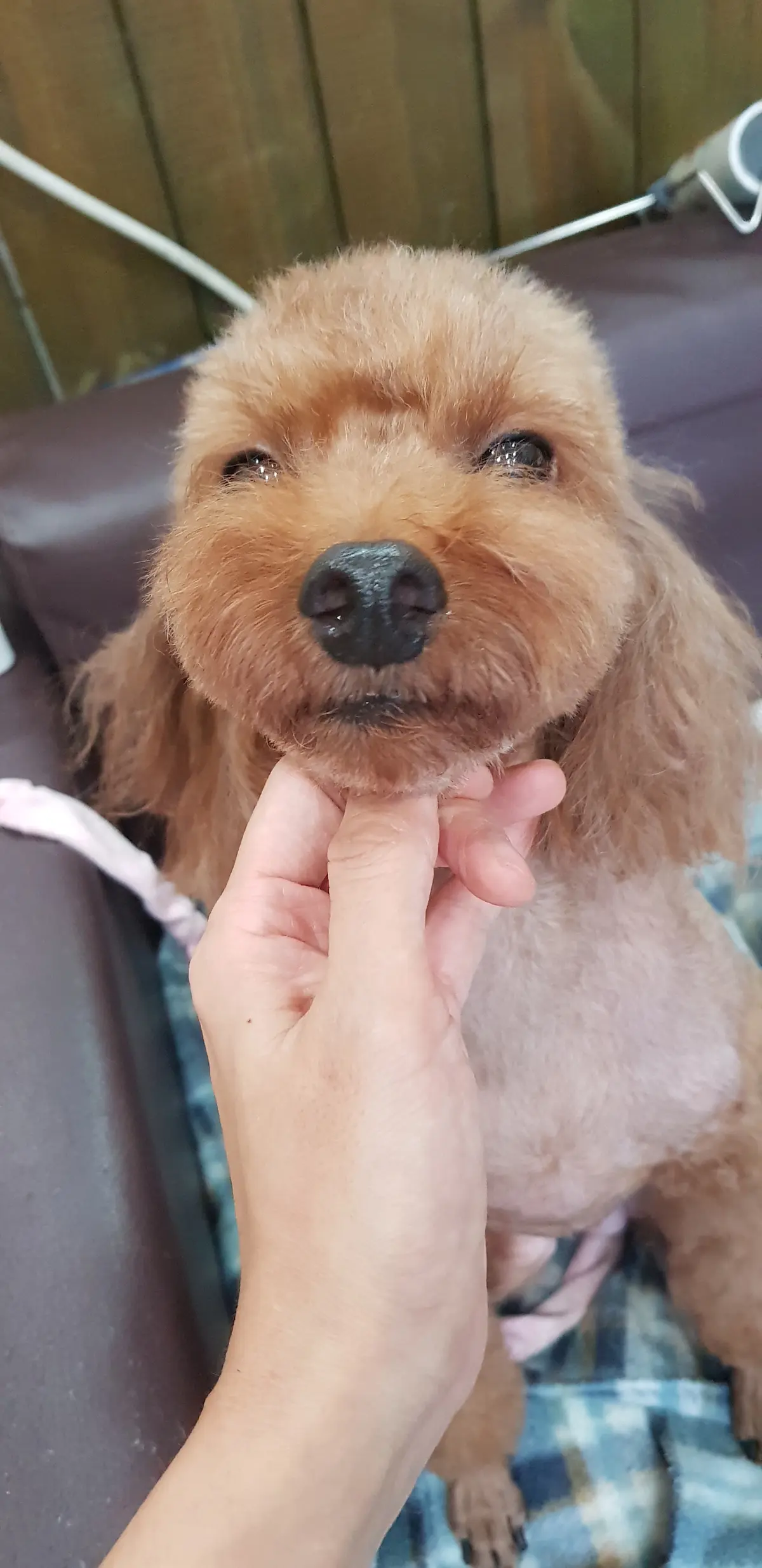 이미지 8