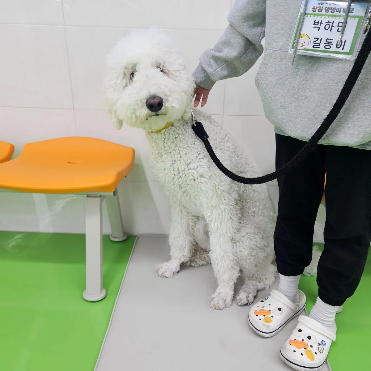 이미지 5