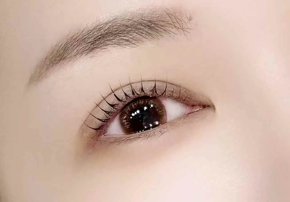 이미지 3