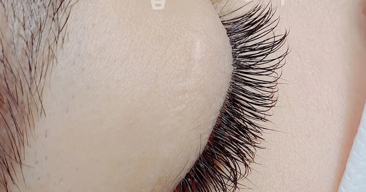 속눈썹연장 / 눈썹언니 - 숨고, 숨은고수 속눈썹연장