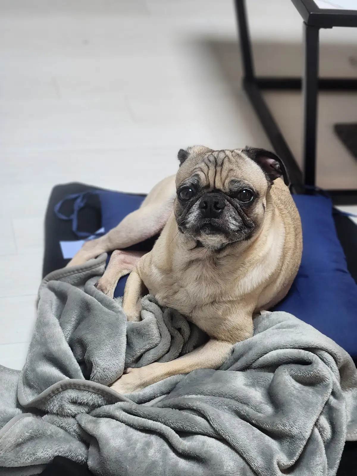 이미지 9