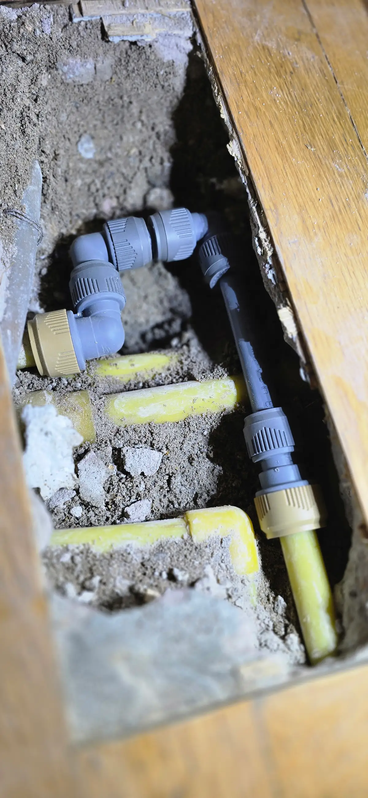 이미지 12