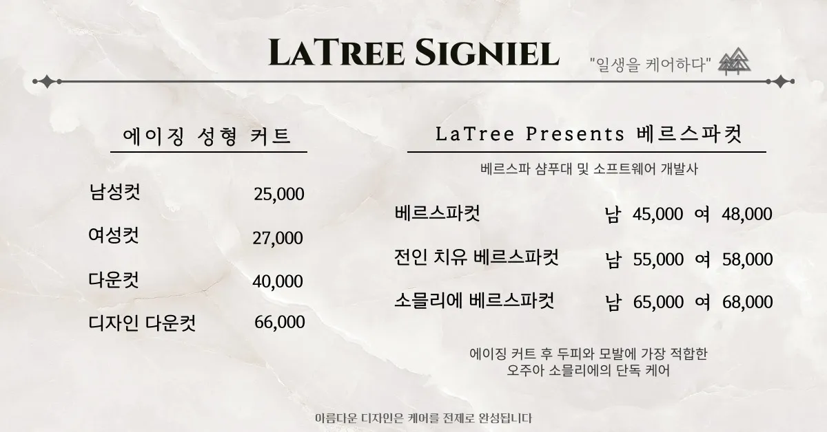 이미지 5