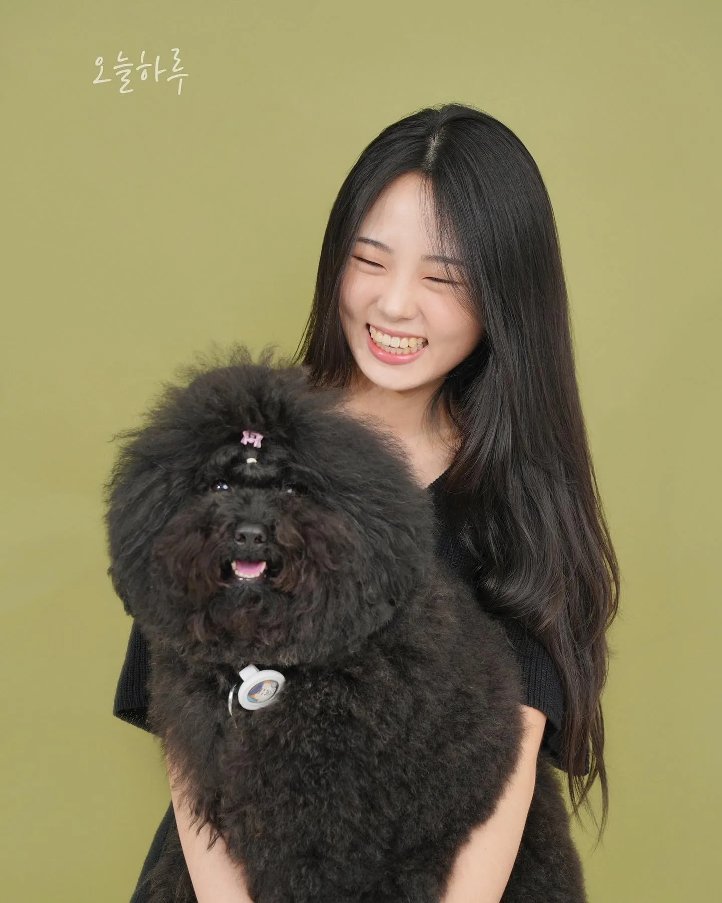 이미지 5