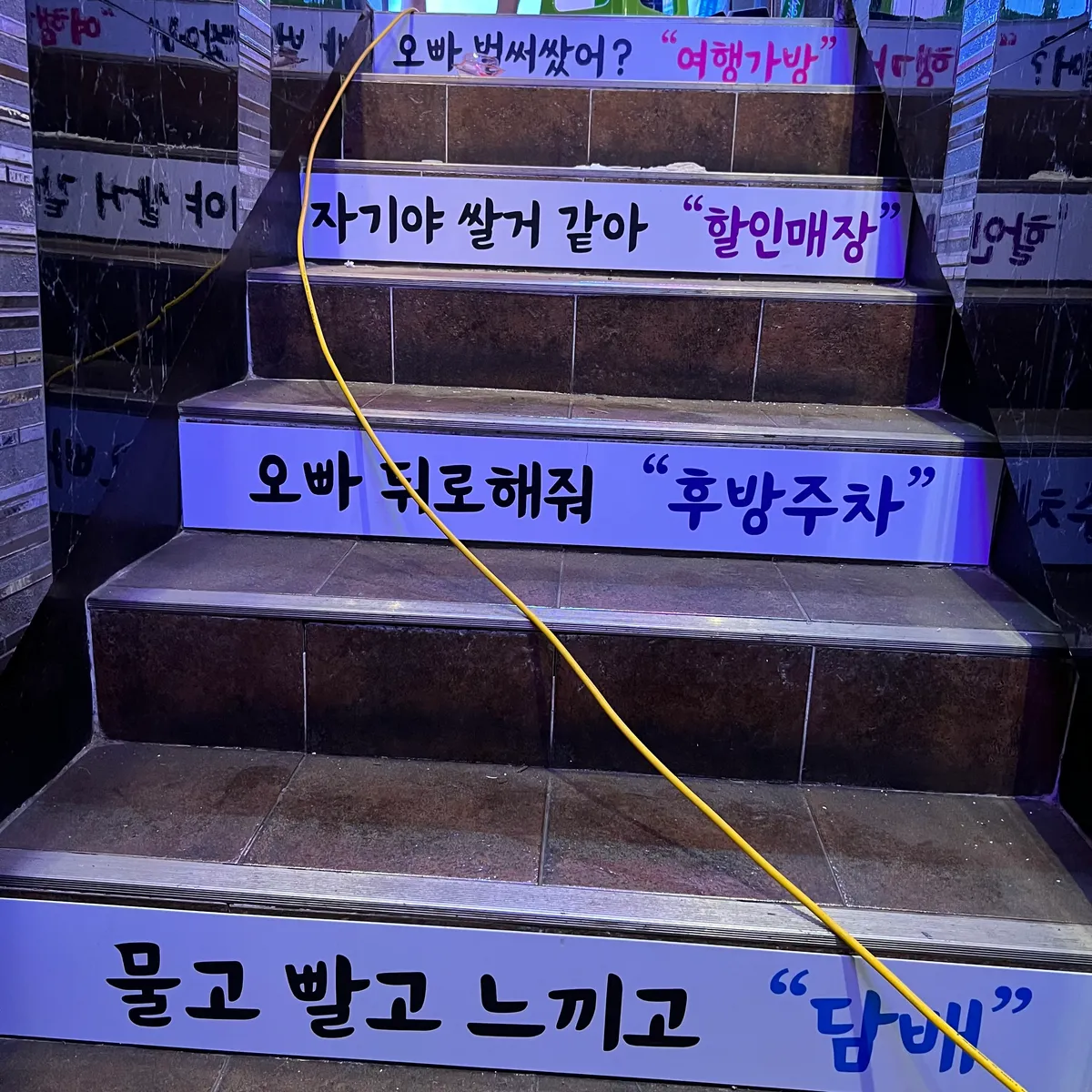 이미지 12