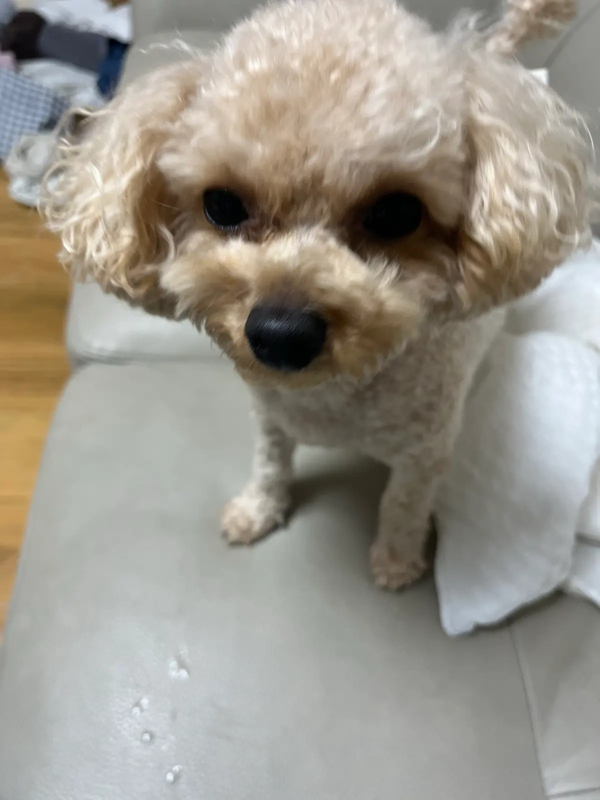 이미지 9