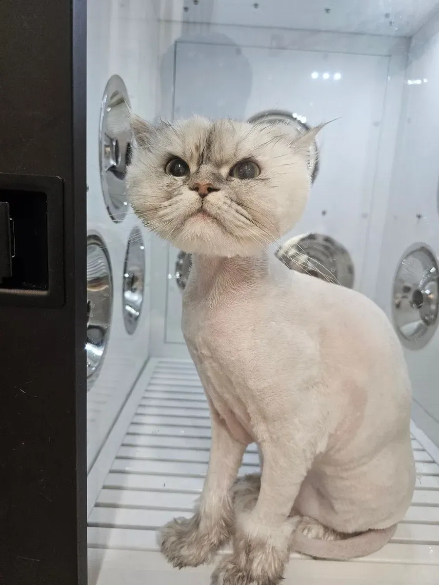 이미지 9