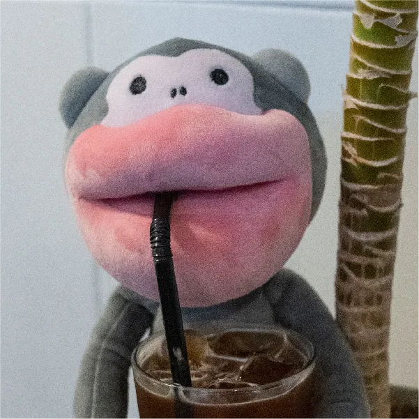 이미지 5