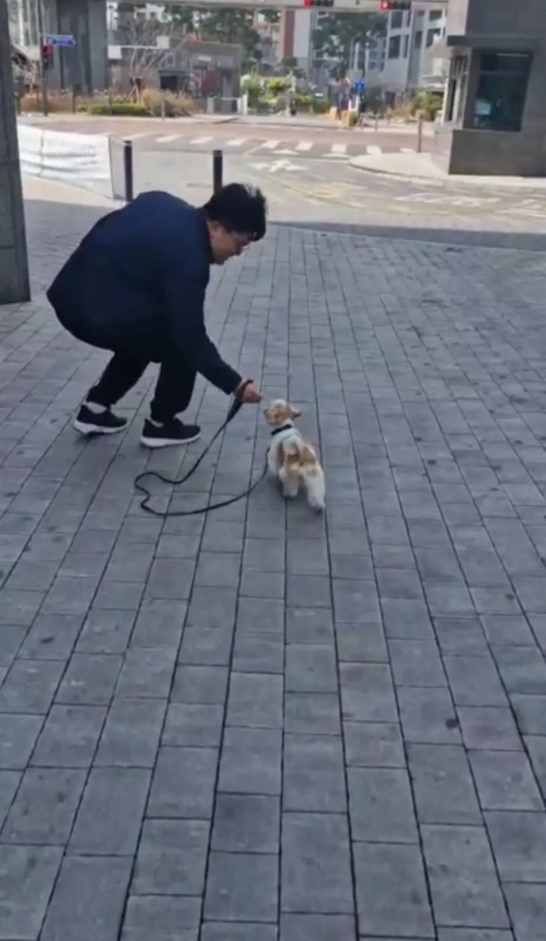 이미지 5