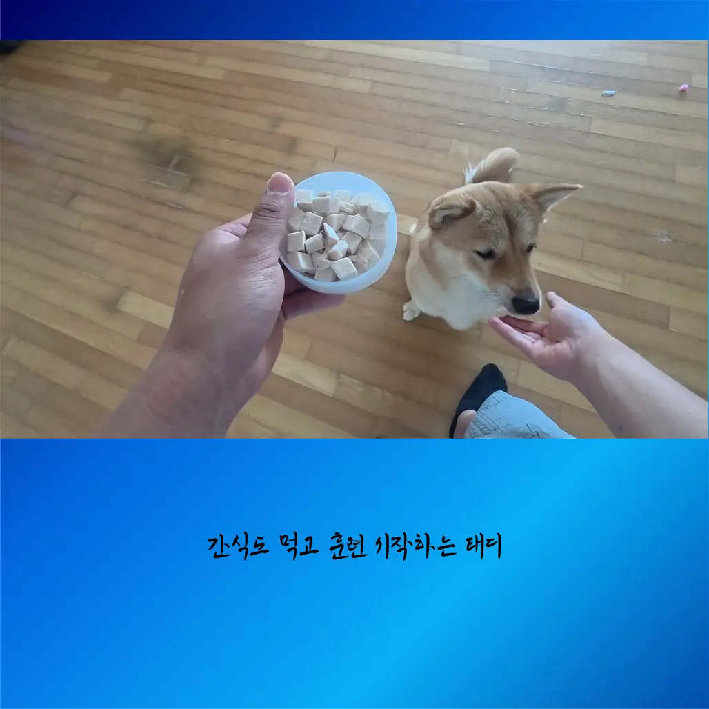 이미지 10