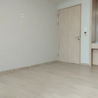 도배+장판