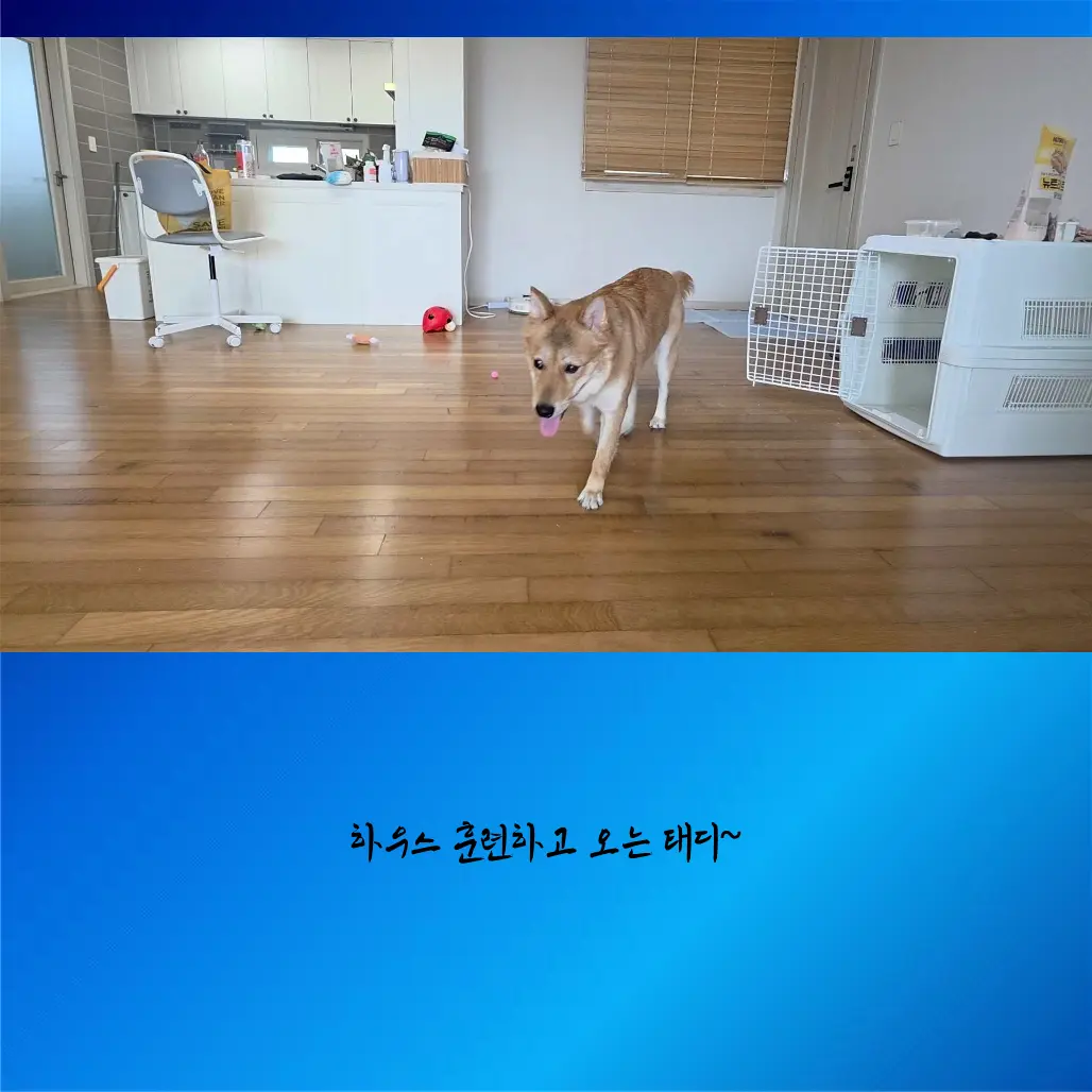 이미지 8
