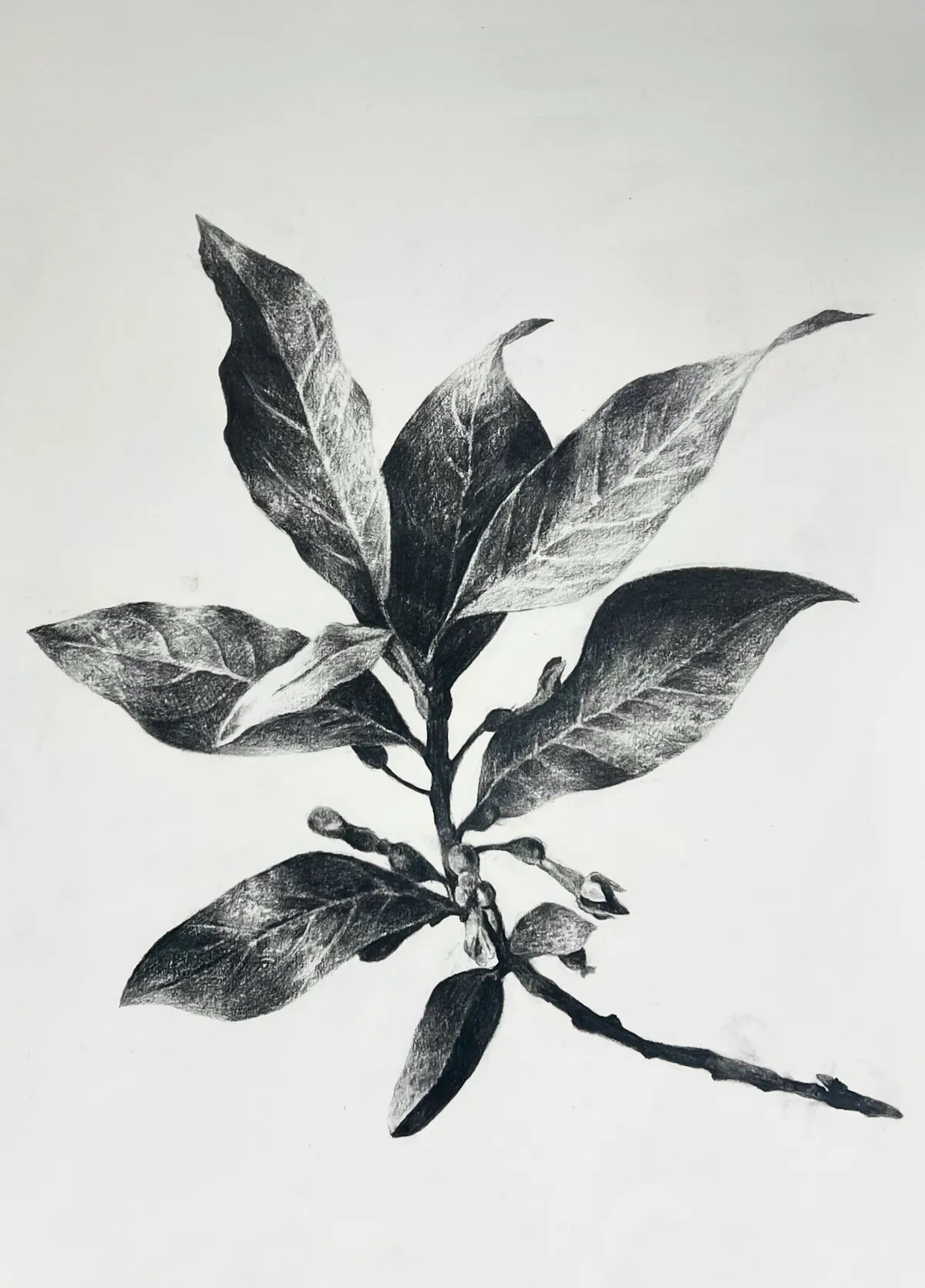 이미지 7