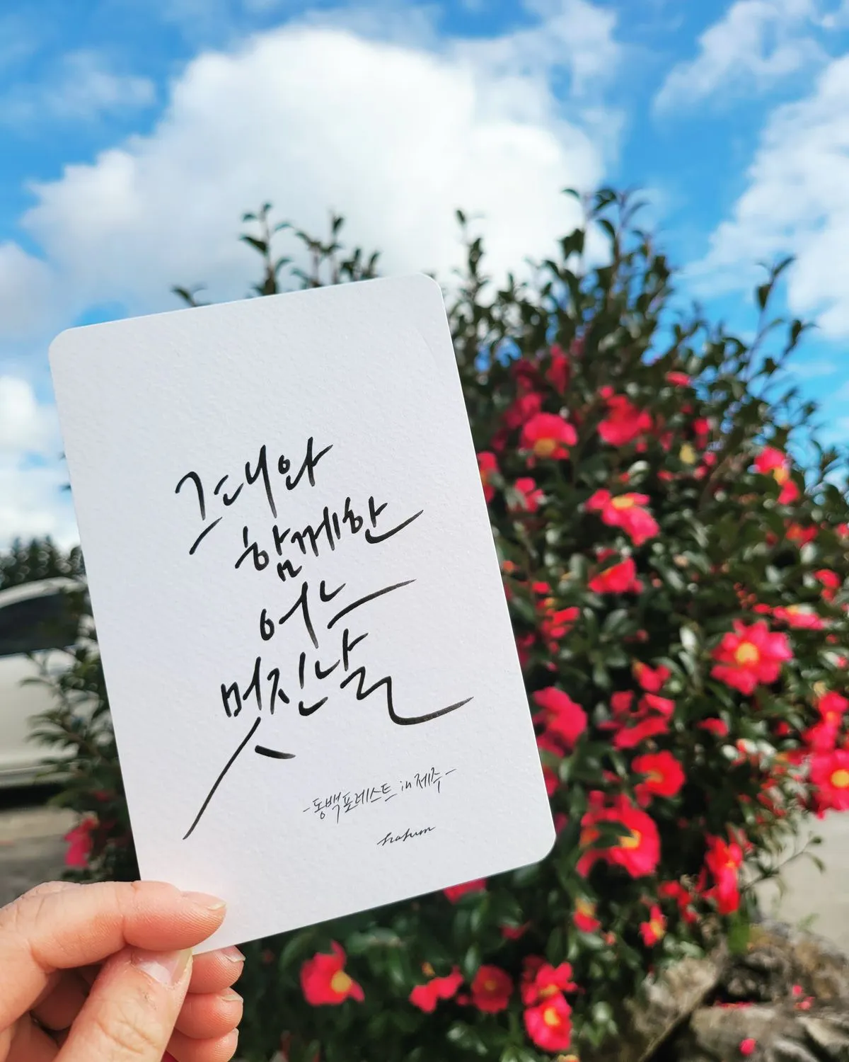 포트폴리오 이미지