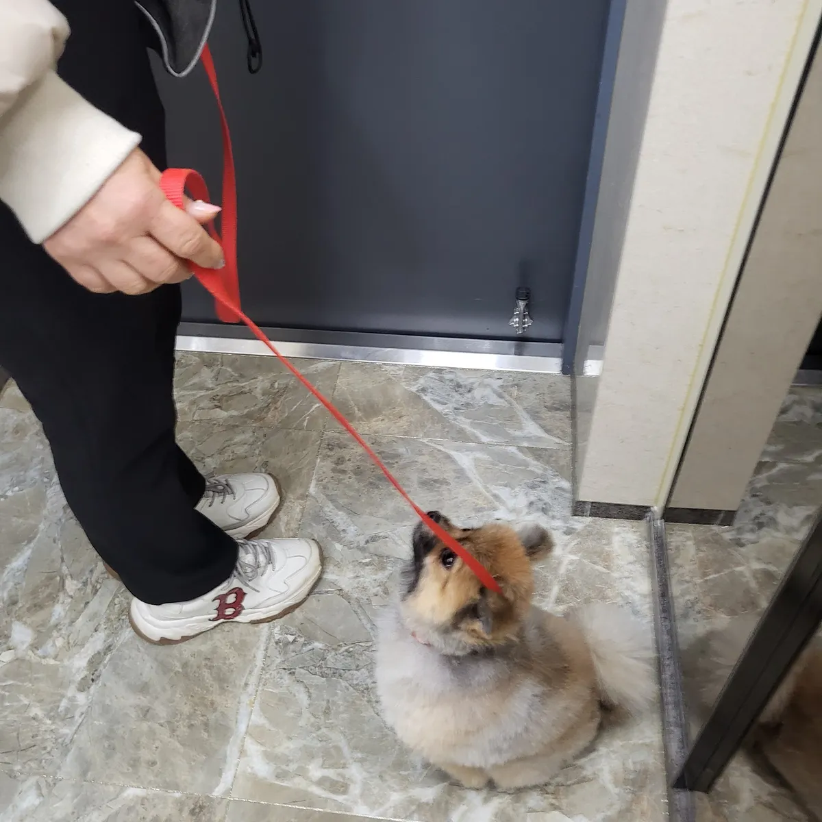 이미지 3