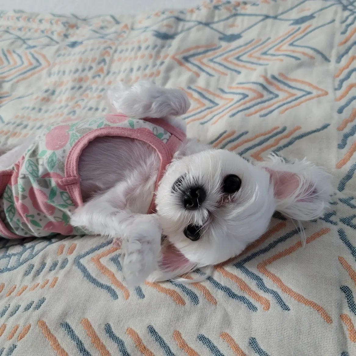 이미지 8