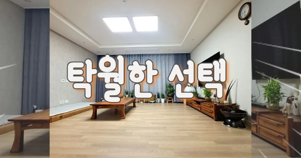 탁월한 선택이었어요~ / 언니찬스 - 숨고, 숨은고수 탁월한 선택이었어요~