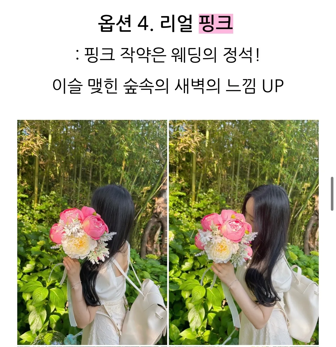 이미지 6