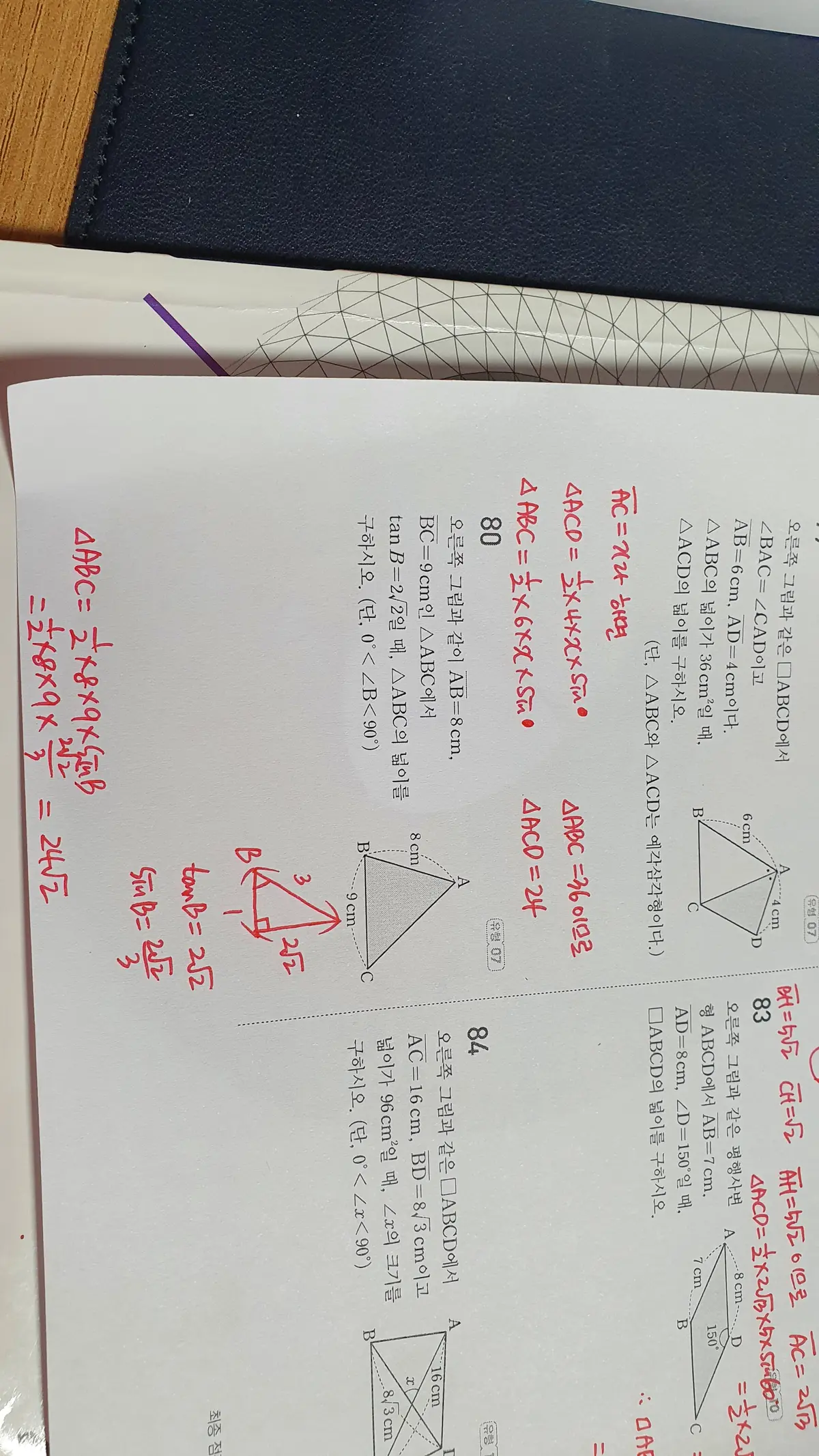 이미지 12