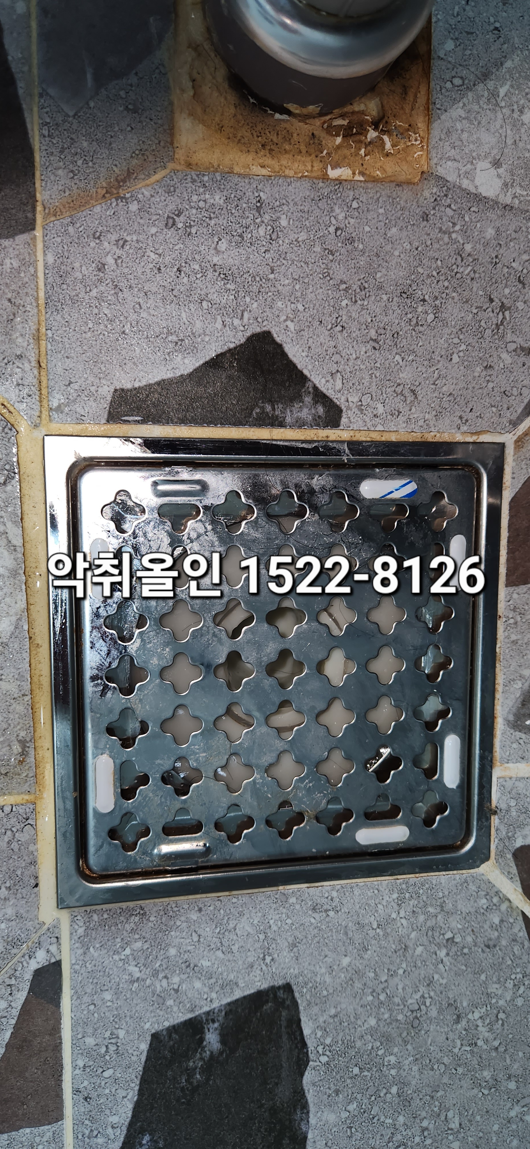 이미지 8