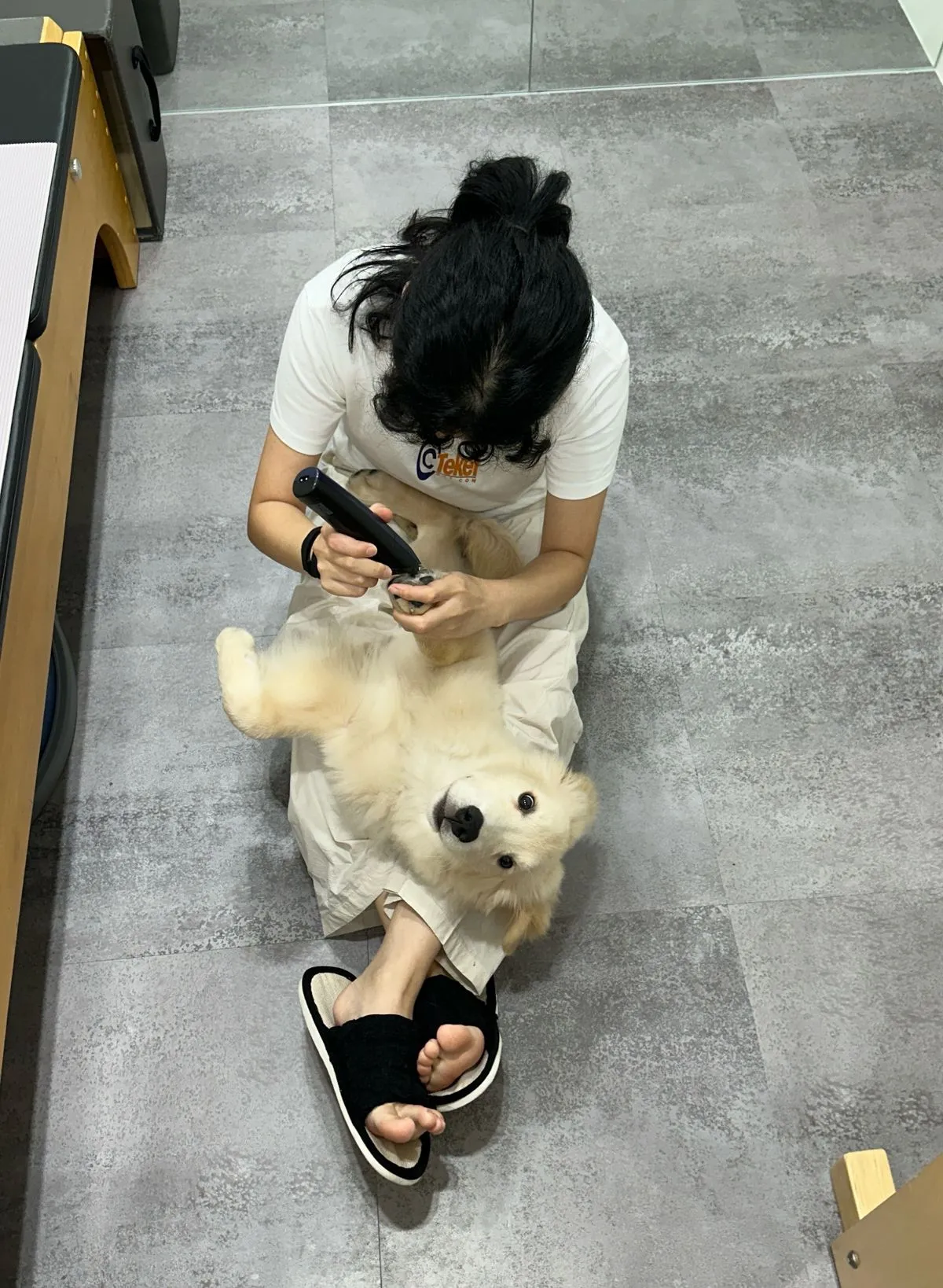 이미지 10