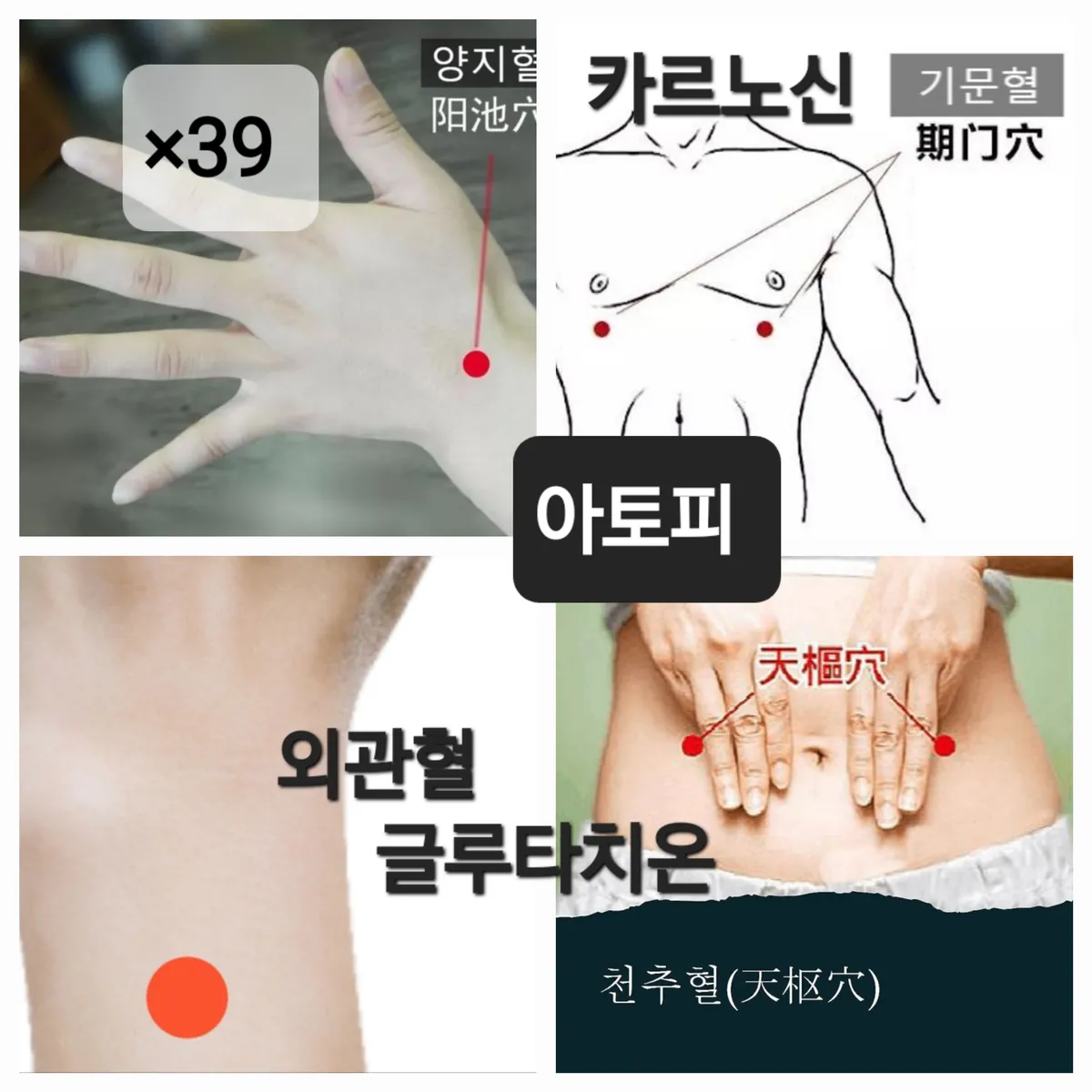 이미지 3