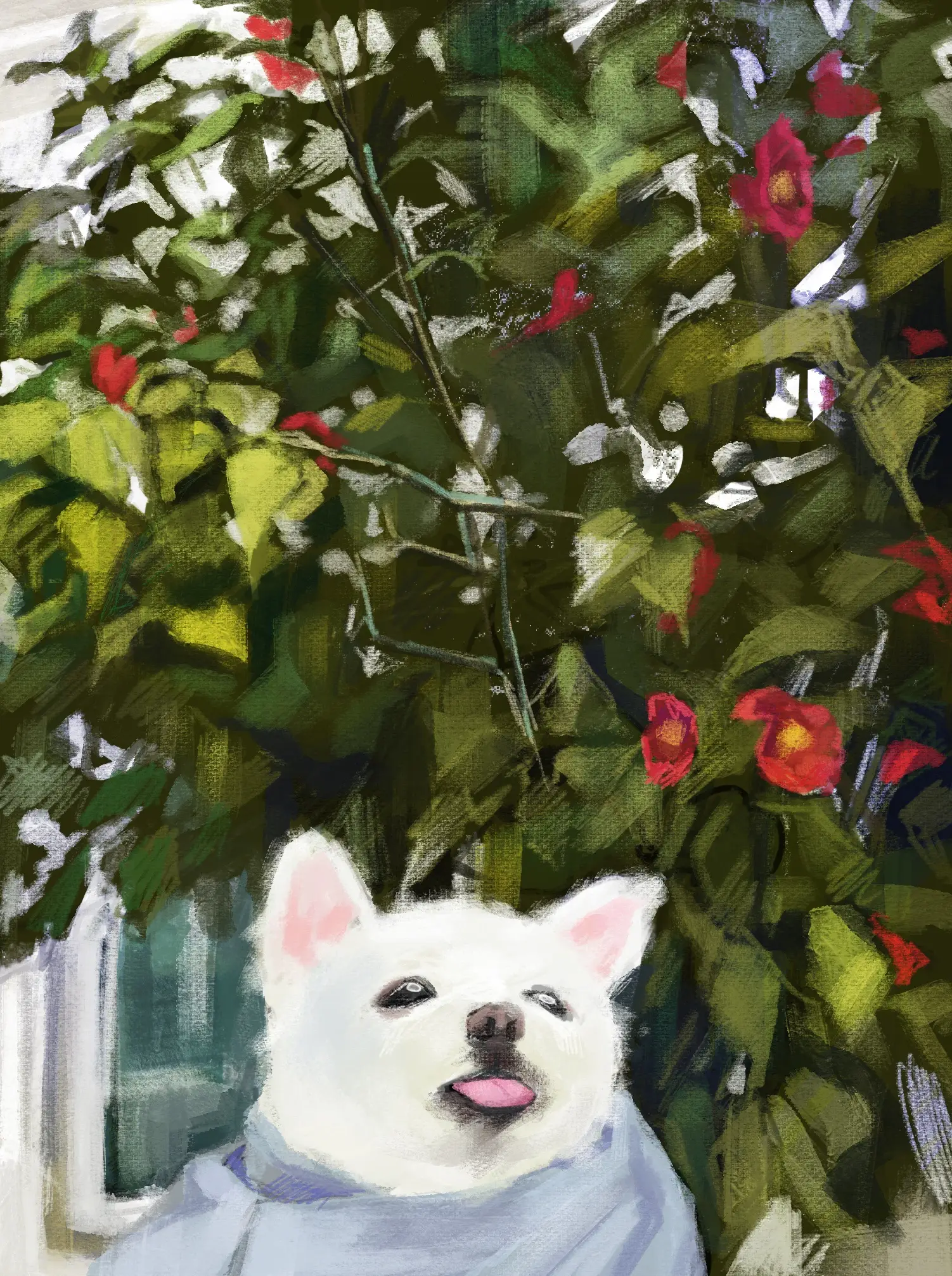 이미지 24