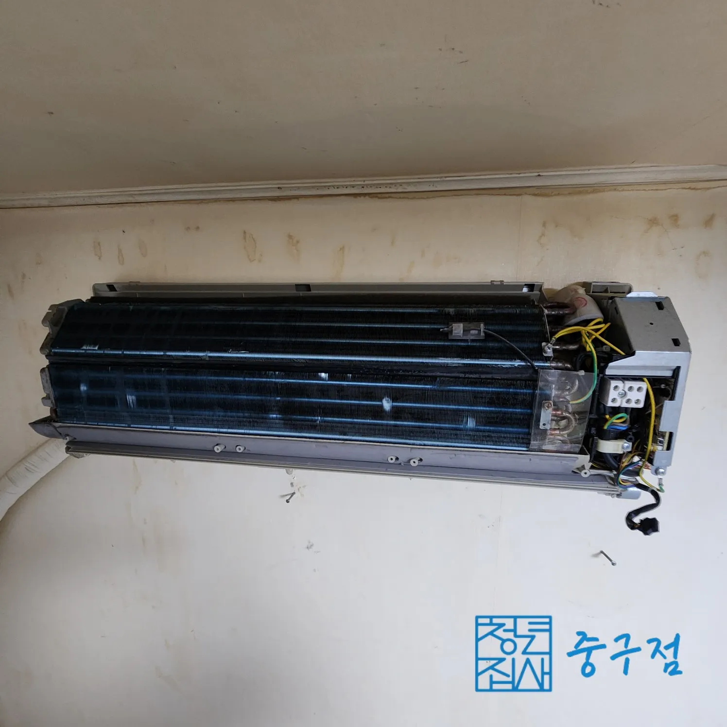이미지 6