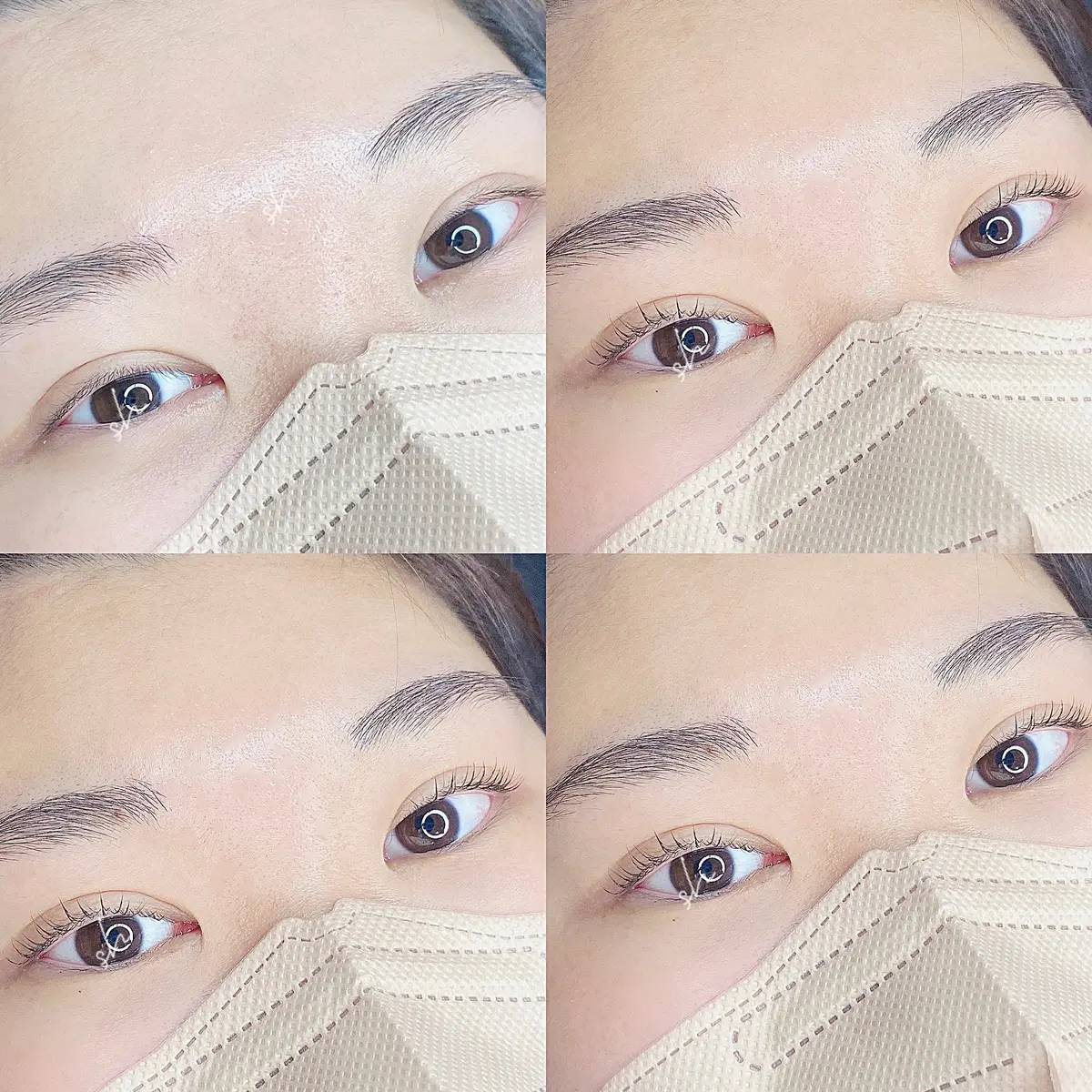 이미지 3