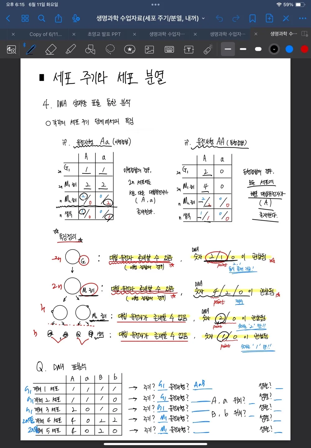 이미지 4