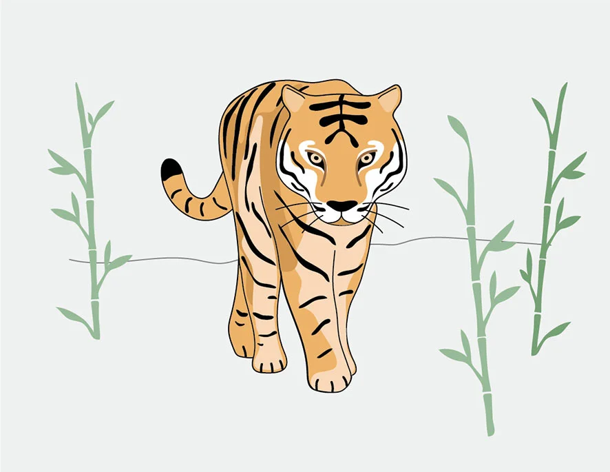 이미지 8